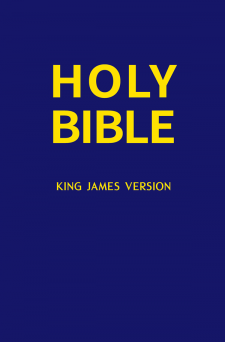 HOLY BIBLE(KING JAMES VERSION) 영어킹제임스성경